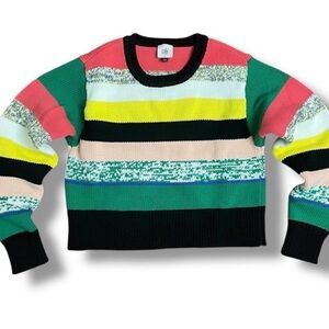 CAbi Multicolor Striped Crew Neck Sweater